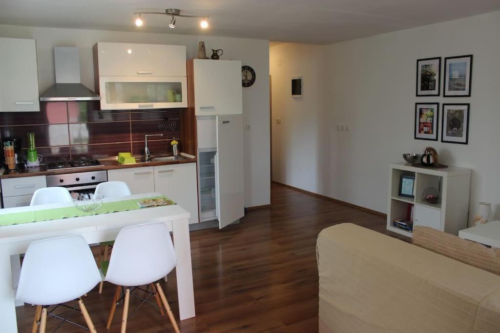 Apartment Modern In