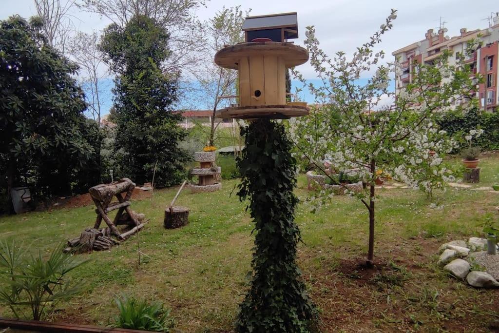 Modern In Porec